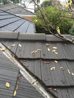 Clean gutters that have been professionally cleaned and are no longer blocked
